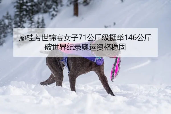 廖桂芳世锦赛女子71公斤级挺举146公斤破世界纪录奥运资格稳固